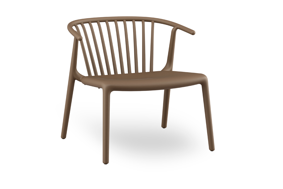 Woody polythrona kafe